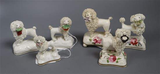 Six Staffordshire porcelain figures of poodles, c.1830-50, tallest 10cm (6)